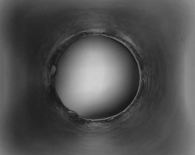 X0000088361448200705291258