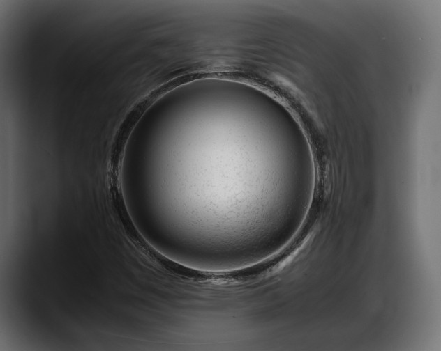 X0000088361449200705291258