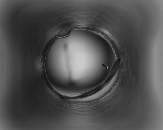 X0000088361450200705291258