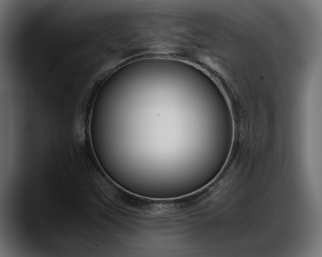 X0000088361451200705291258