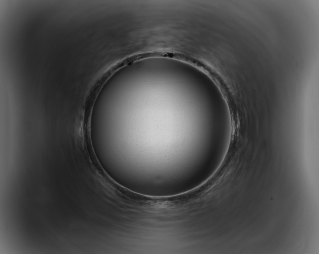 X0000088361452200705291258