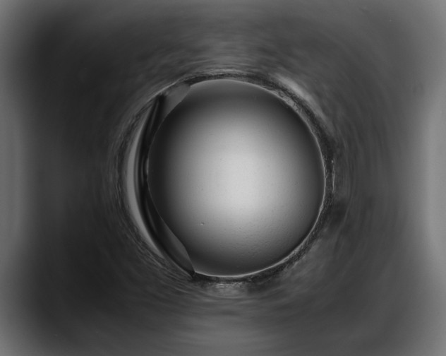 X0000088361453200705291258