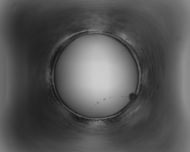 X0000088361454200705291258