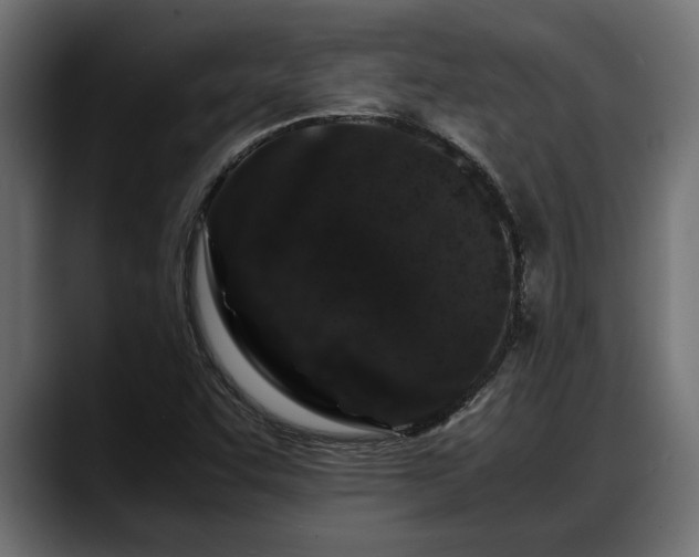 X0000088361455200705291258