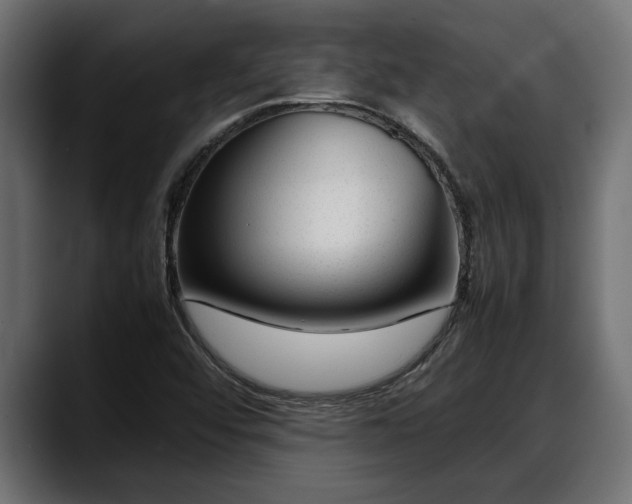 X0000088361456200705291257