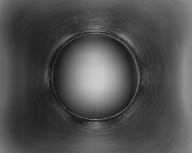 X0000088361458200705291257