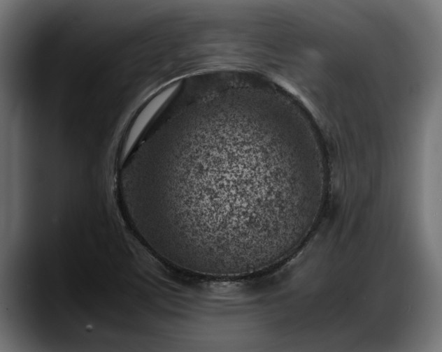 X0000088361459200705291257