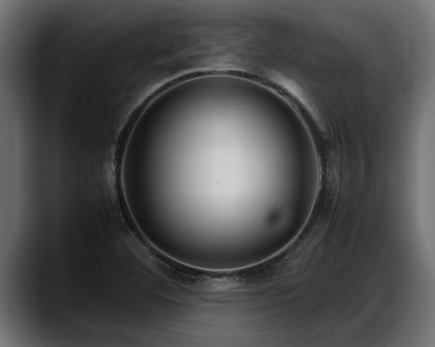 X0000088361460200705291257