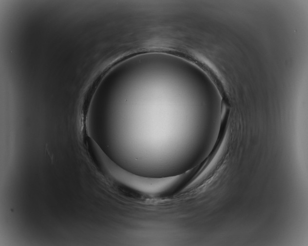 X0000088361461200705291257