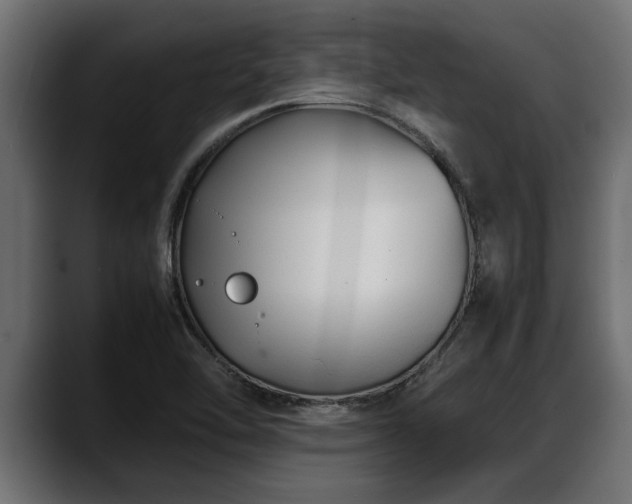 X0000088361462200705291257