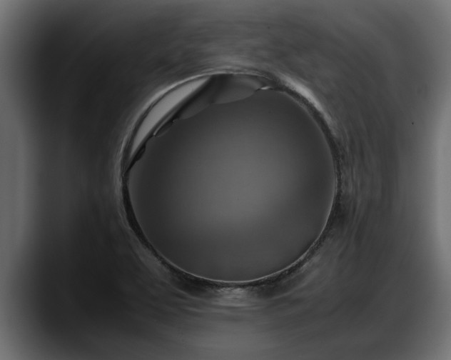 X0000088361463200705291257