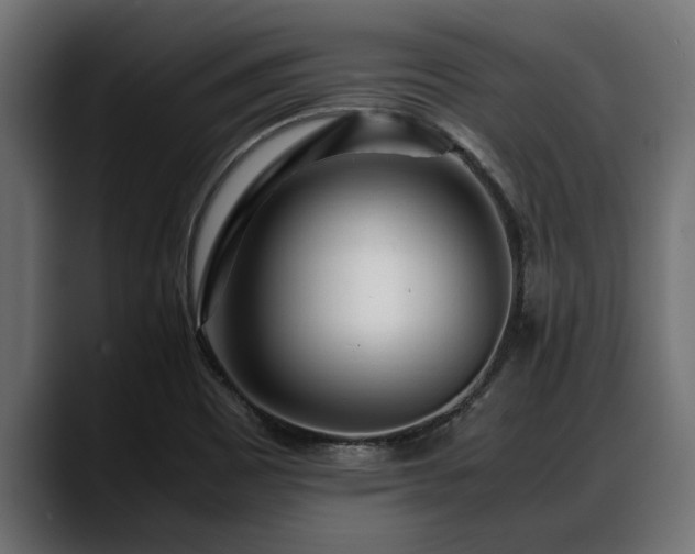 X0000088361465200705291257