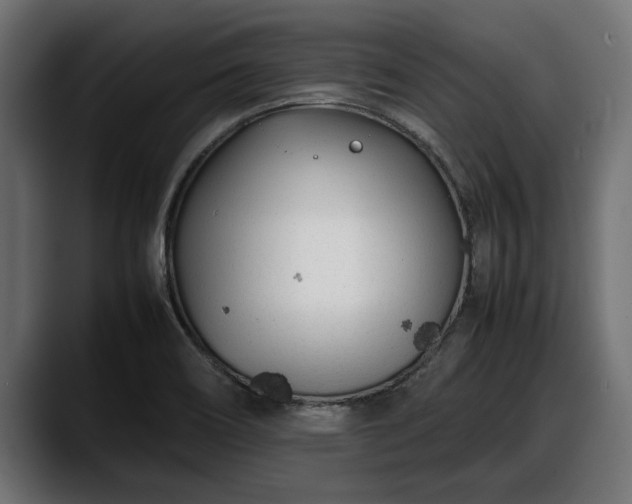 X0000088361466200705291257