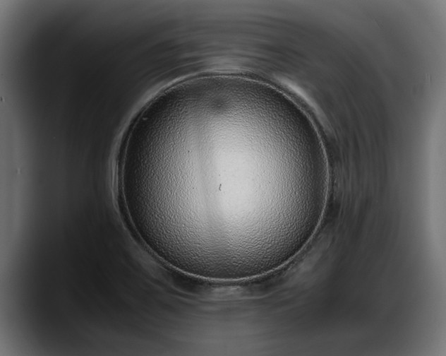 X0000088361467200705291257