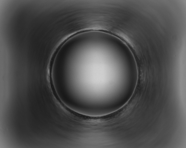 X0000088361468200705291257