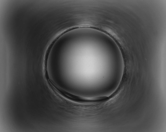 X0000088361469200705291257