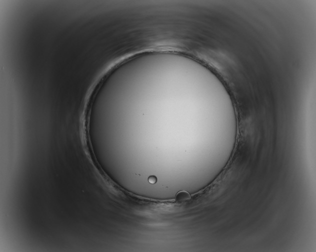 X0000088361470200705291257