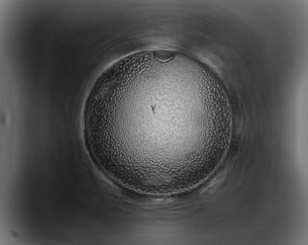 X0000088361471200705291257