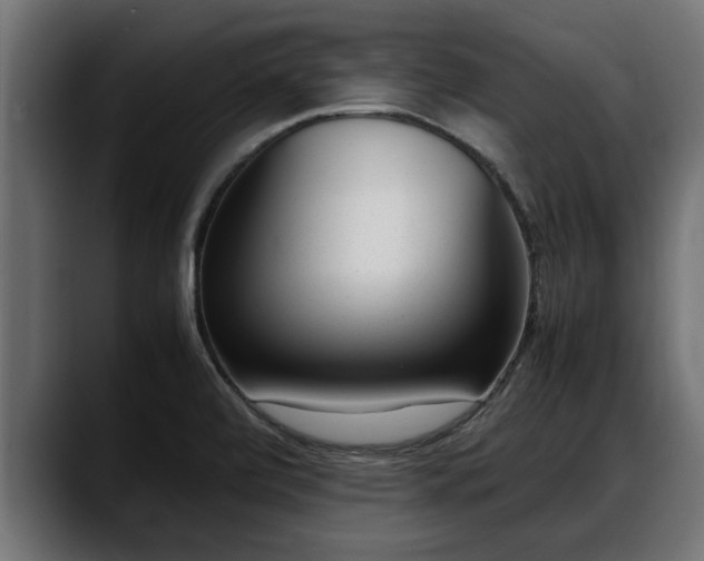 X0000088361472200705291257