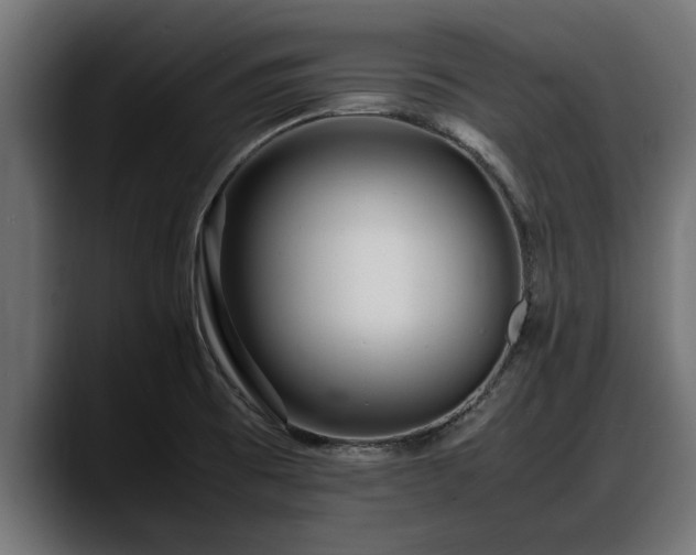 X0000088361473200705291257