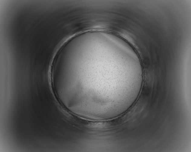 X0000088361474200705291257