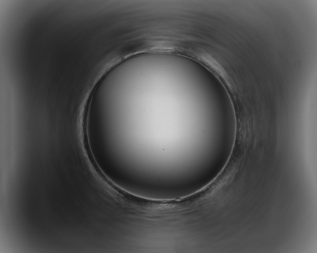 X0000088361475200705291257