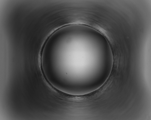 X0000088361476200705291257