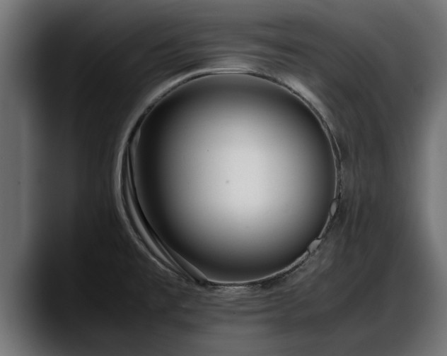 X0000088361477200705291257