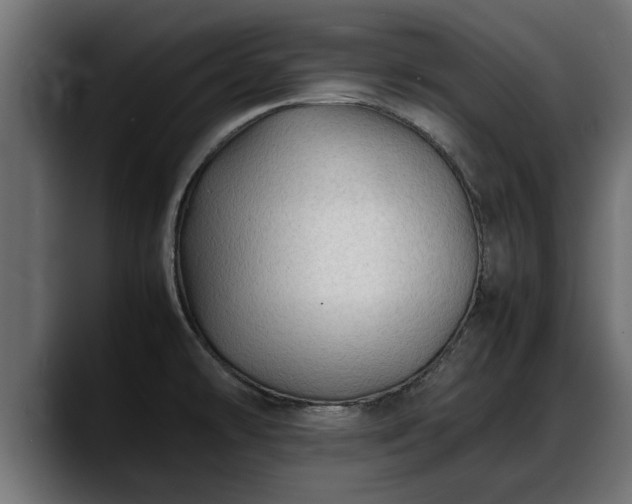 X0000088361478200705291257