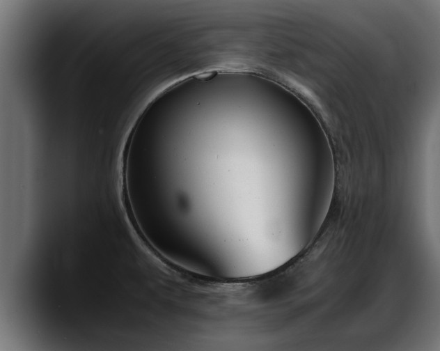 X0000088361479200705291257