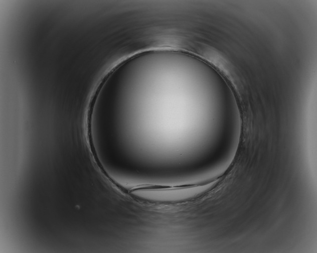 X0000088361480200705291257