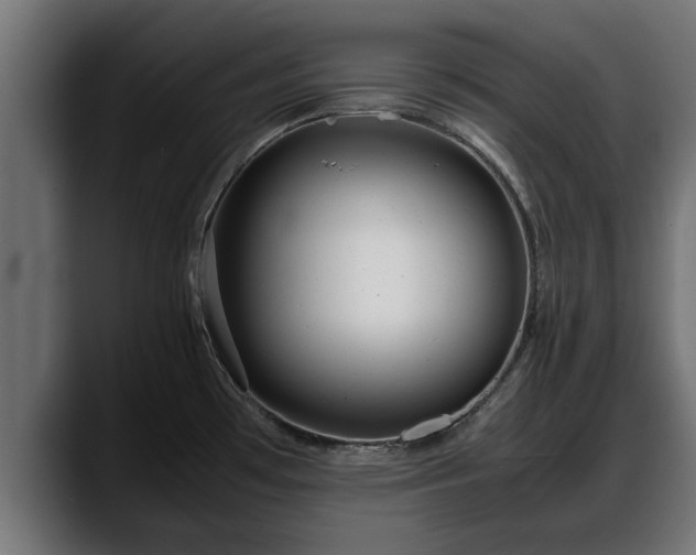 X0000088361481200705291257