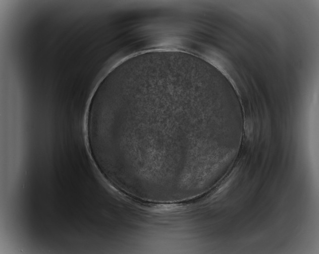 X0000088361482200705291257