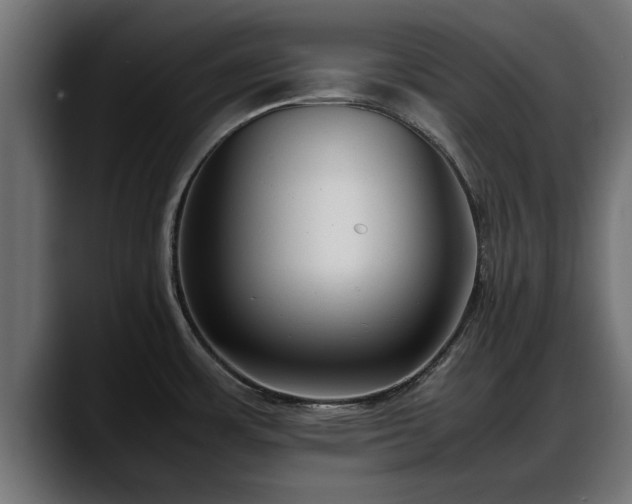 X0000088361483200705291257