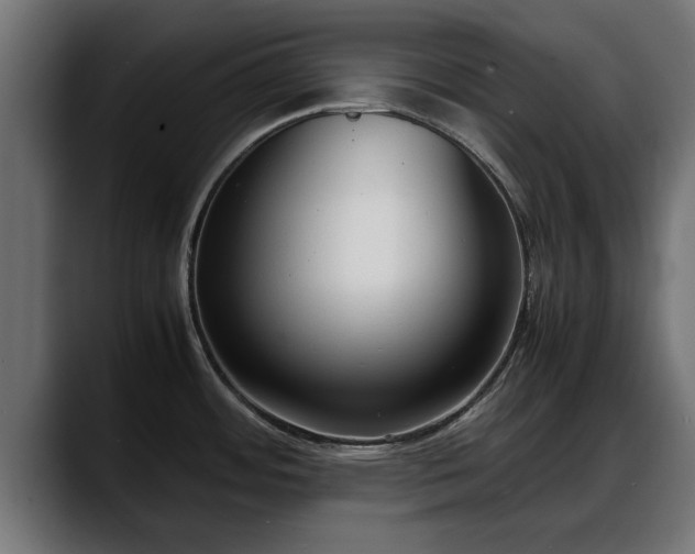 X0000088361484200705291257