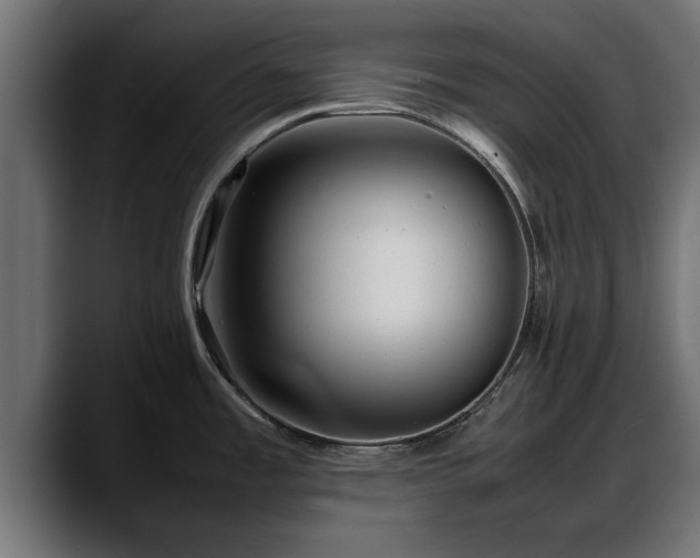 X0000088361485200705291257