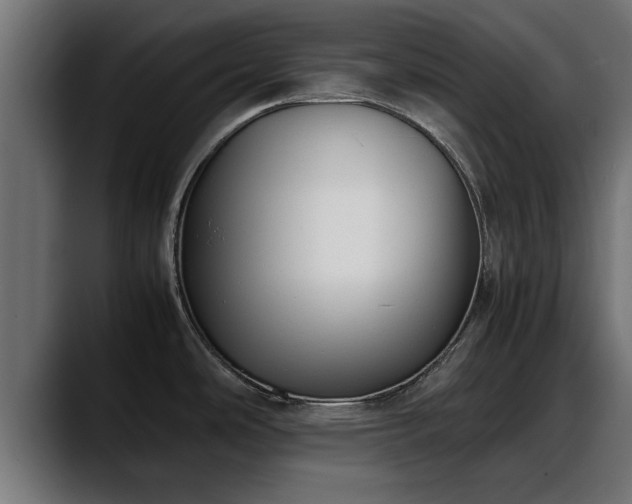 X0000088361486200705291257