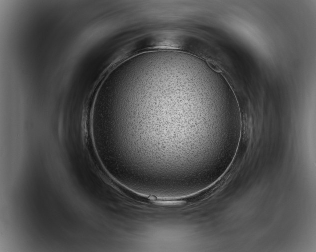 X0000088361487200705291257