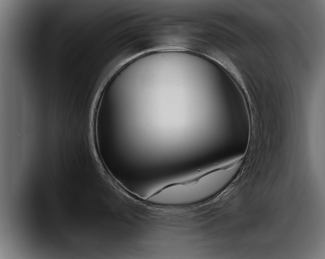 X0000088361488200705291257