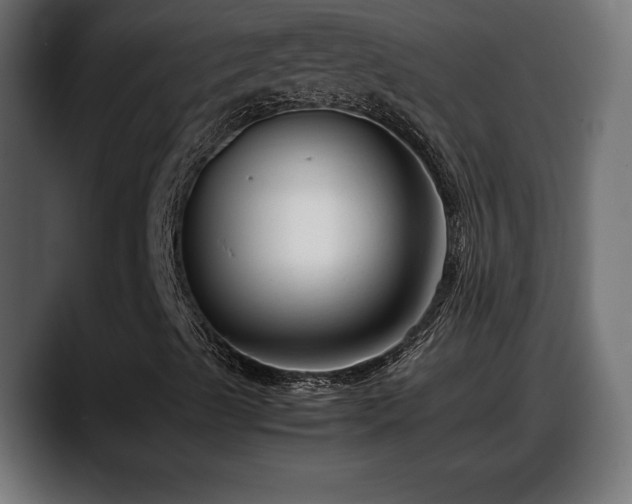 X0000088361489200705291256