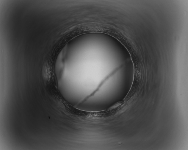 X0000088361490200705291256