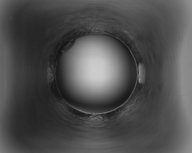 X0000088361491200705291256