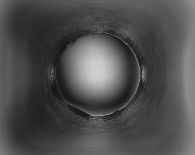 X0000088361492200705291256