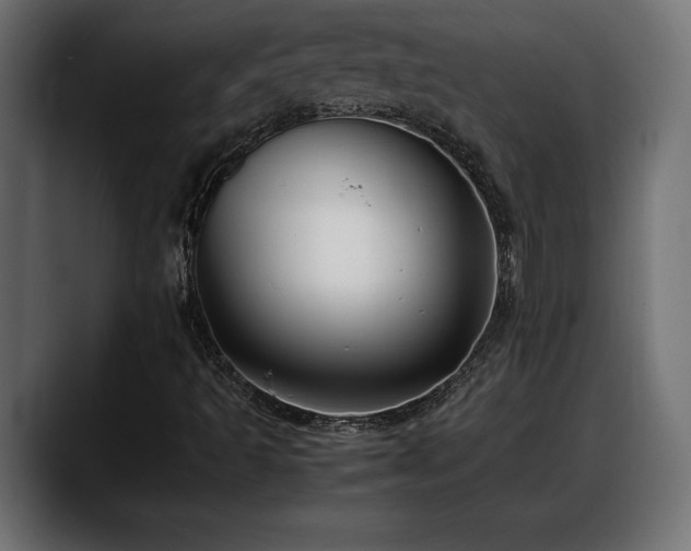 X0000088361493200705291257