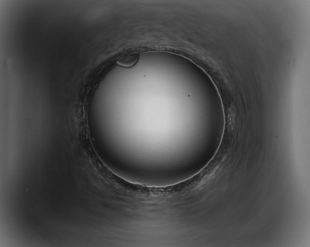 X0000088361494200705291257