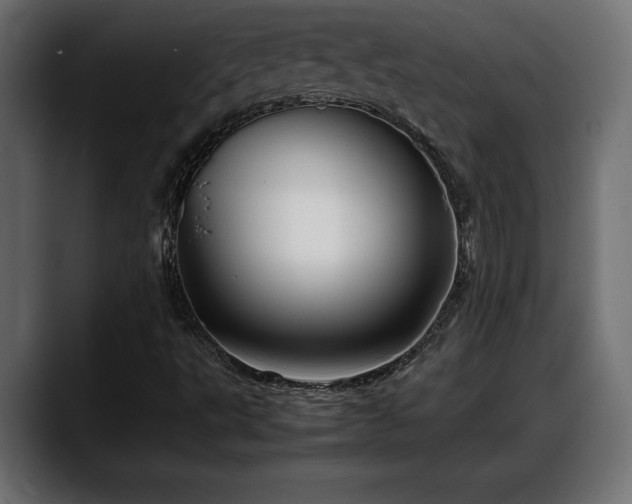 X0000088361495200705291257