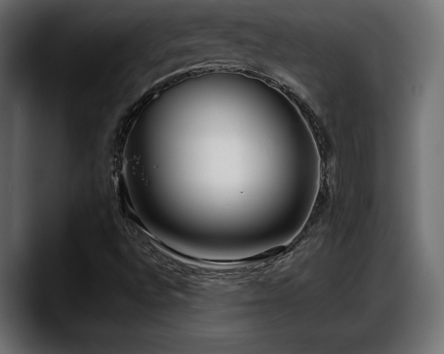 X0000088361496200705291257