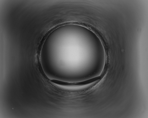 X0000088361497200705291257