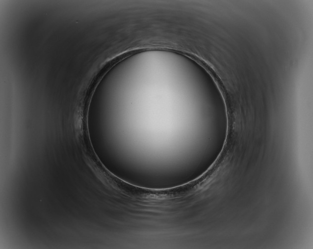 X0000088361499200705291257