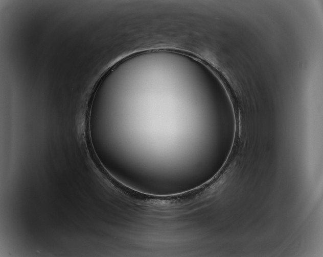 X0000088361500200705291257